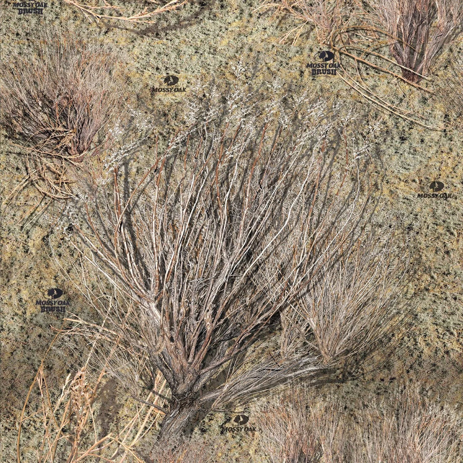 Brush
