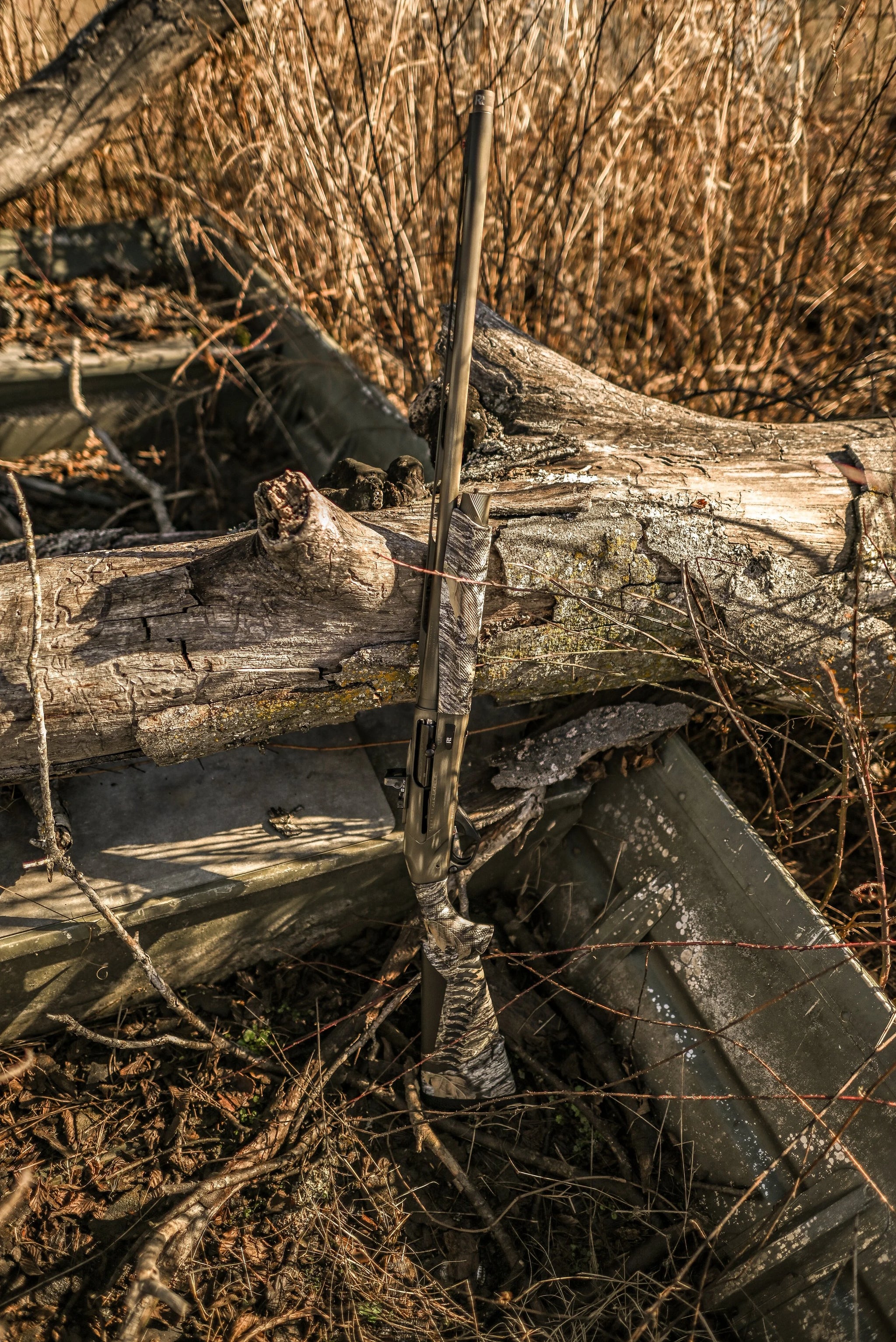 DSC_0306.jpg