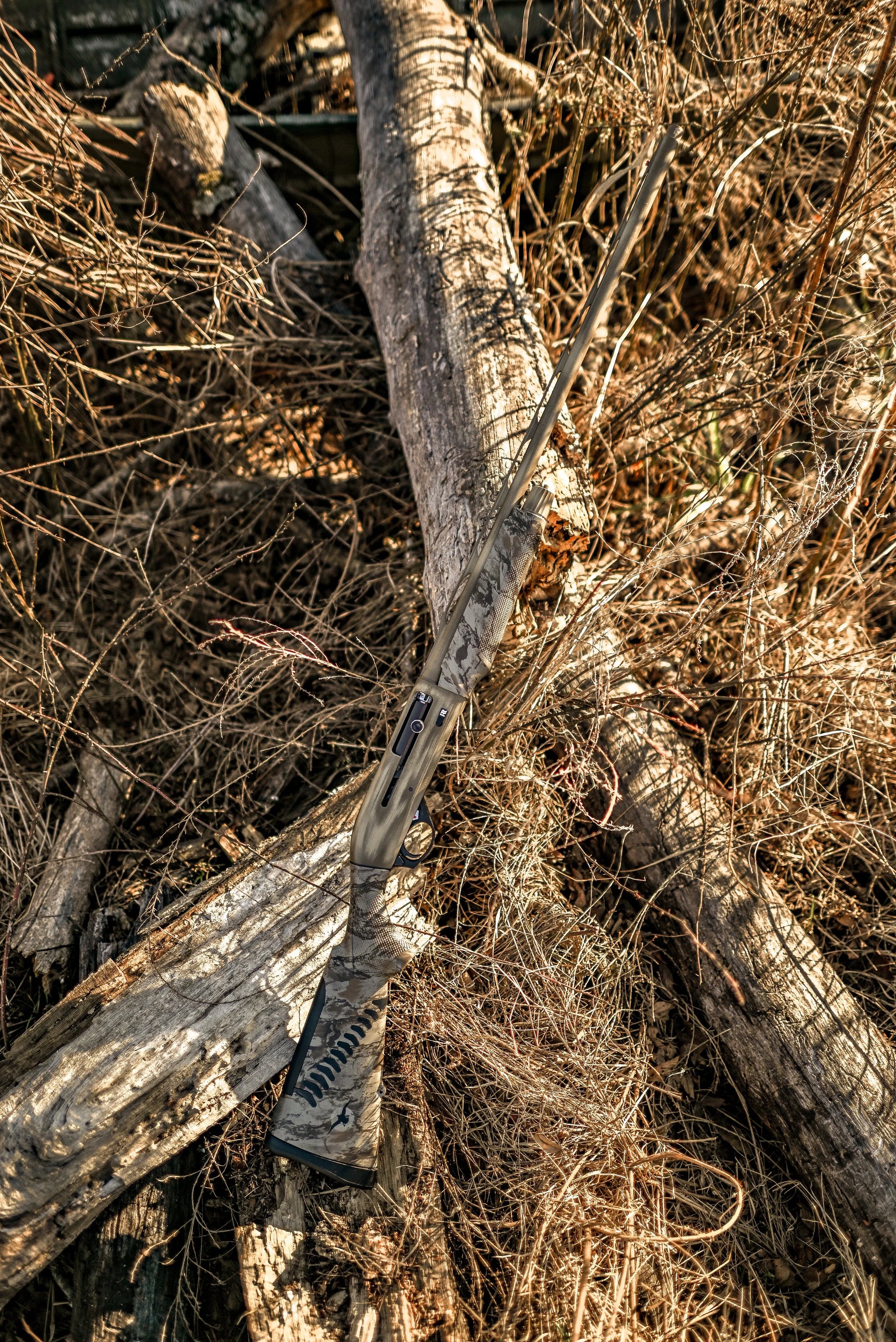 DSC_0313.jpg