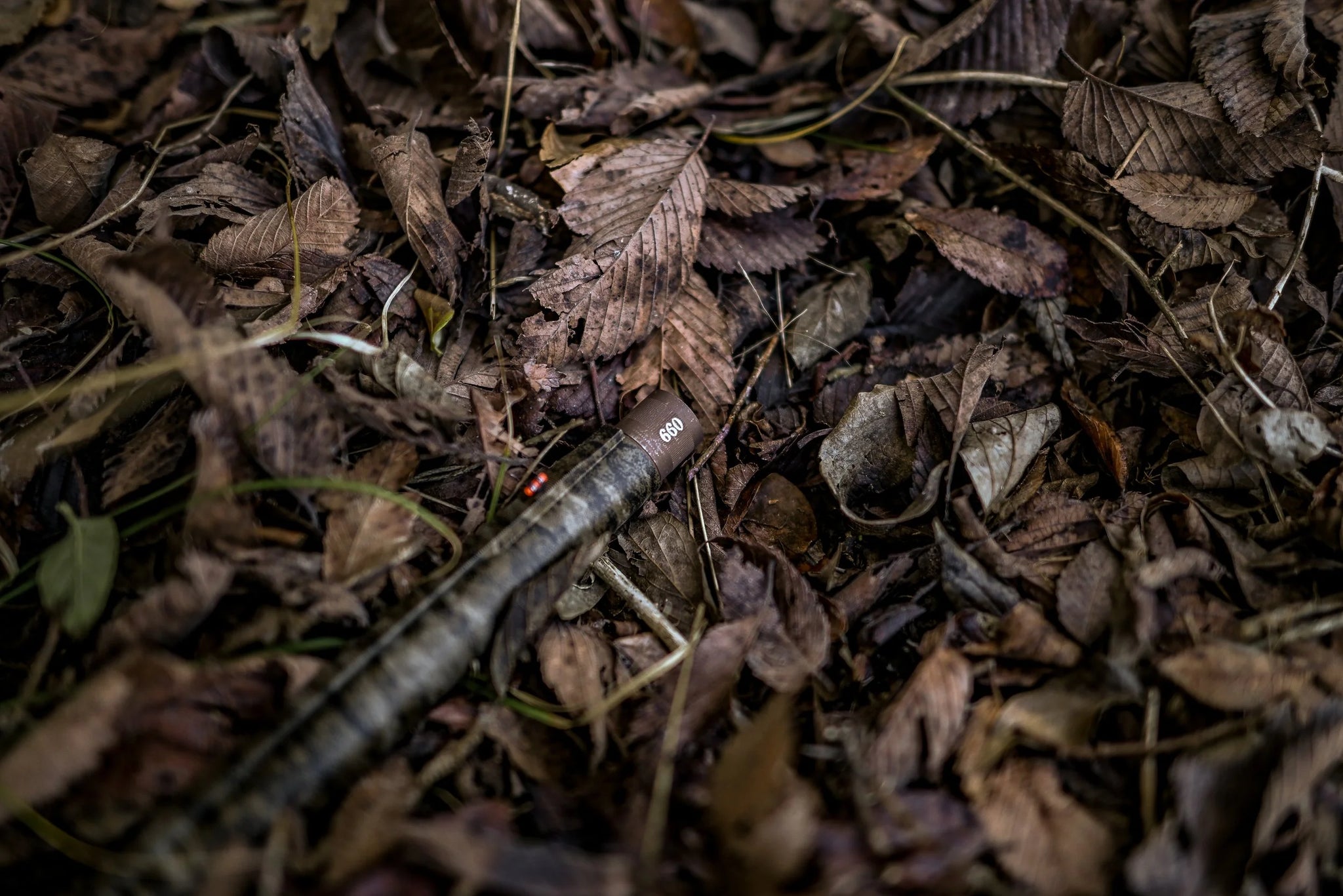 DSC_0351.jpg