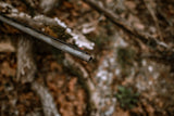 DSC_0373.jpg