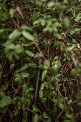 DSC_0537.jpg