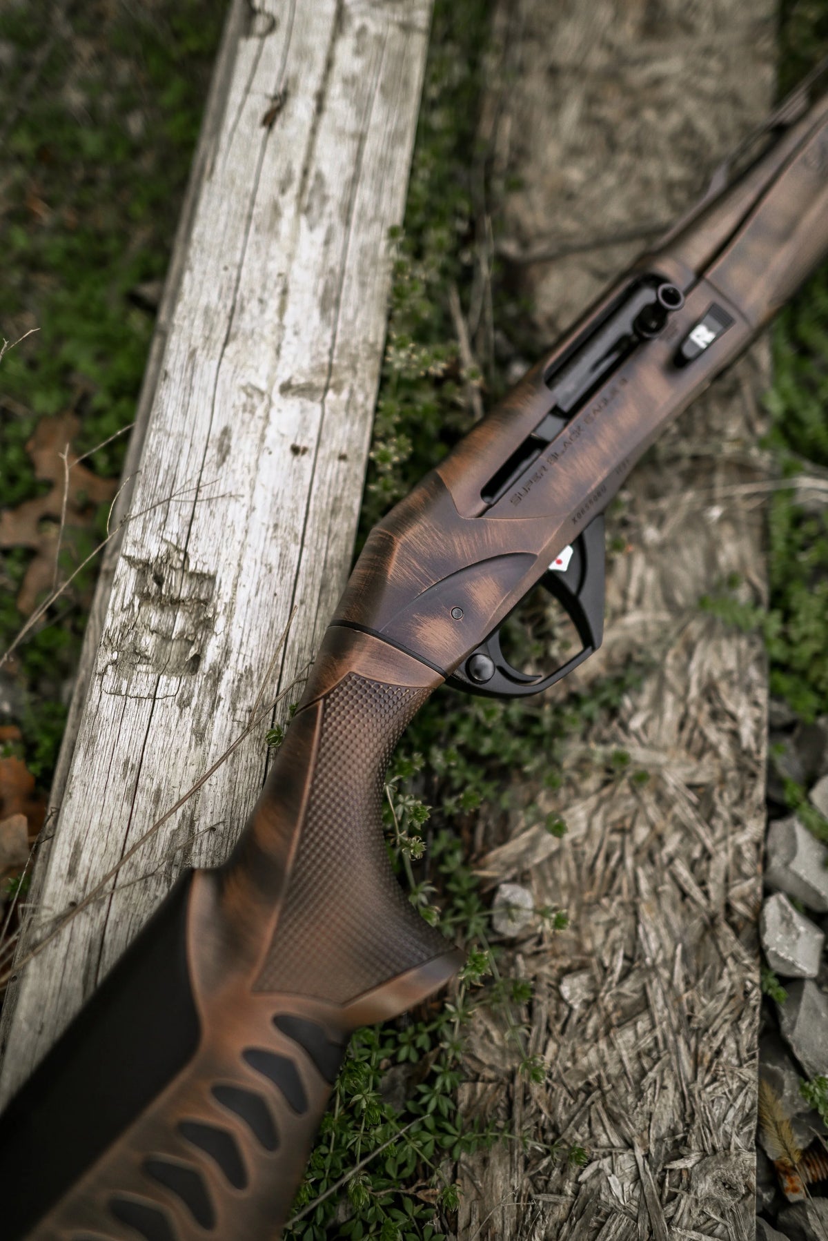 Cinnamon Teal