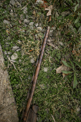 DSC_0621-2.jpg