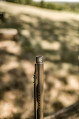 DSC_1167.jpg