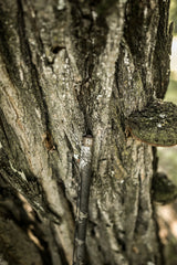 DSC_1179.jpg