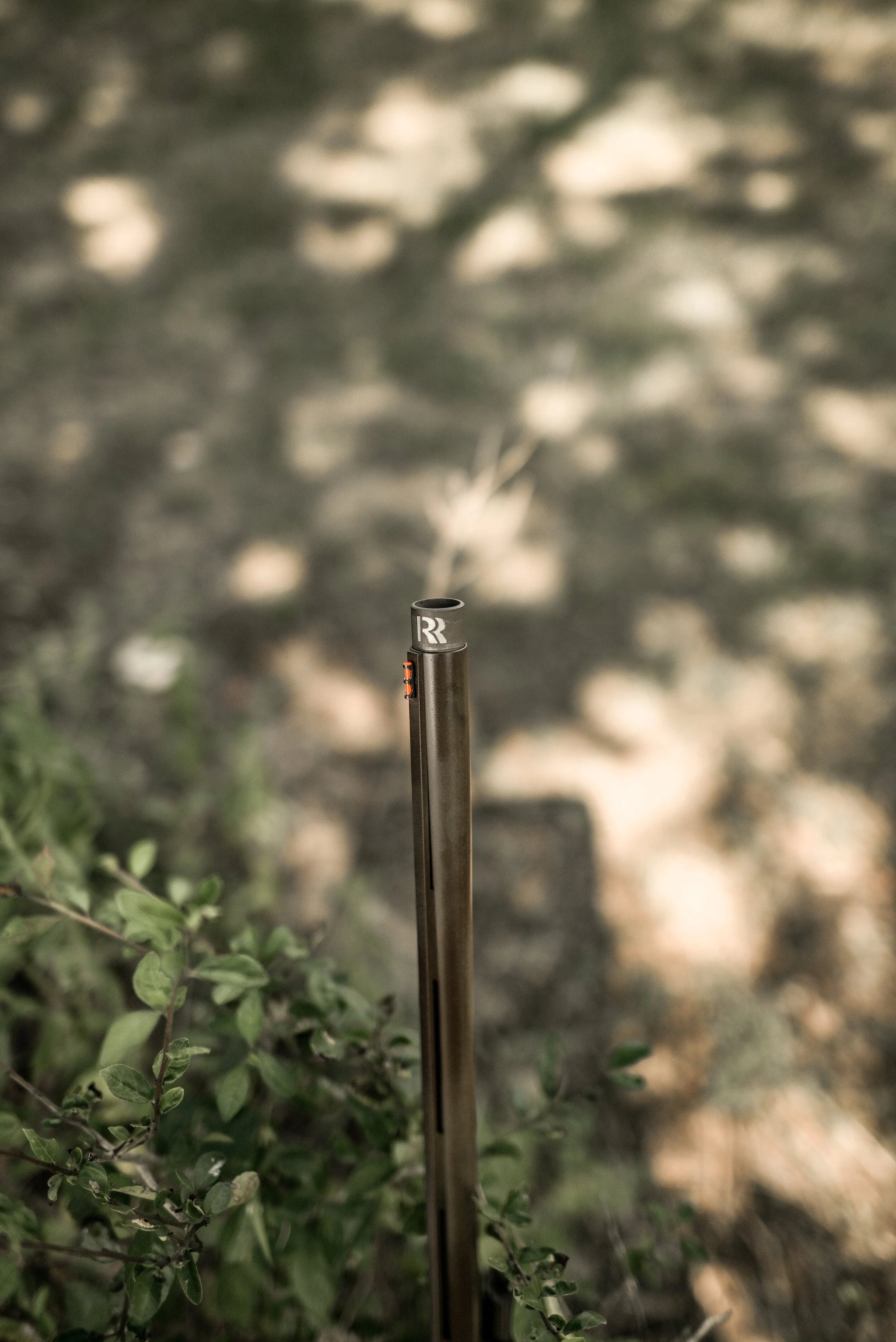 DSC_1198.jpg