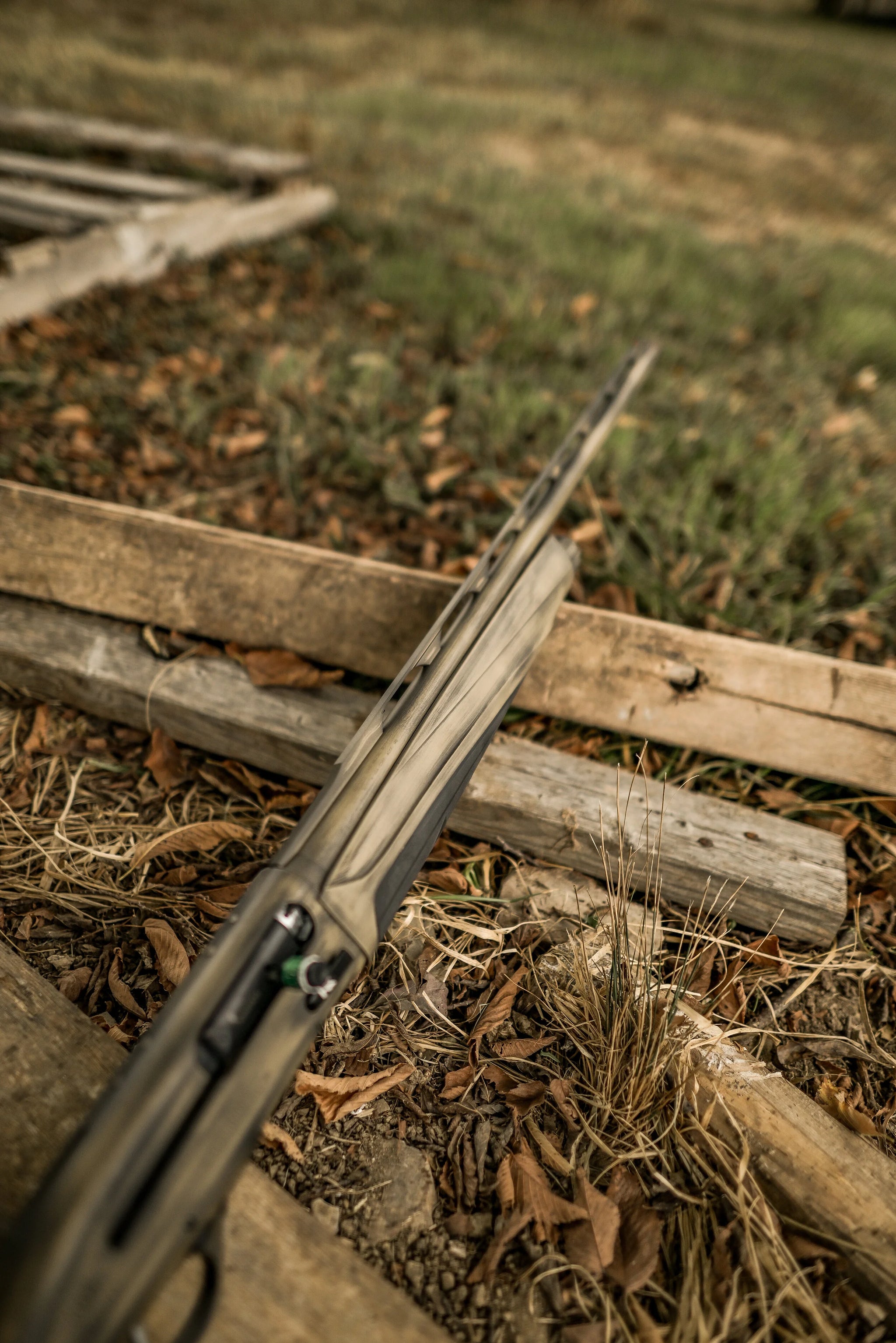 DSC_1215.jpg