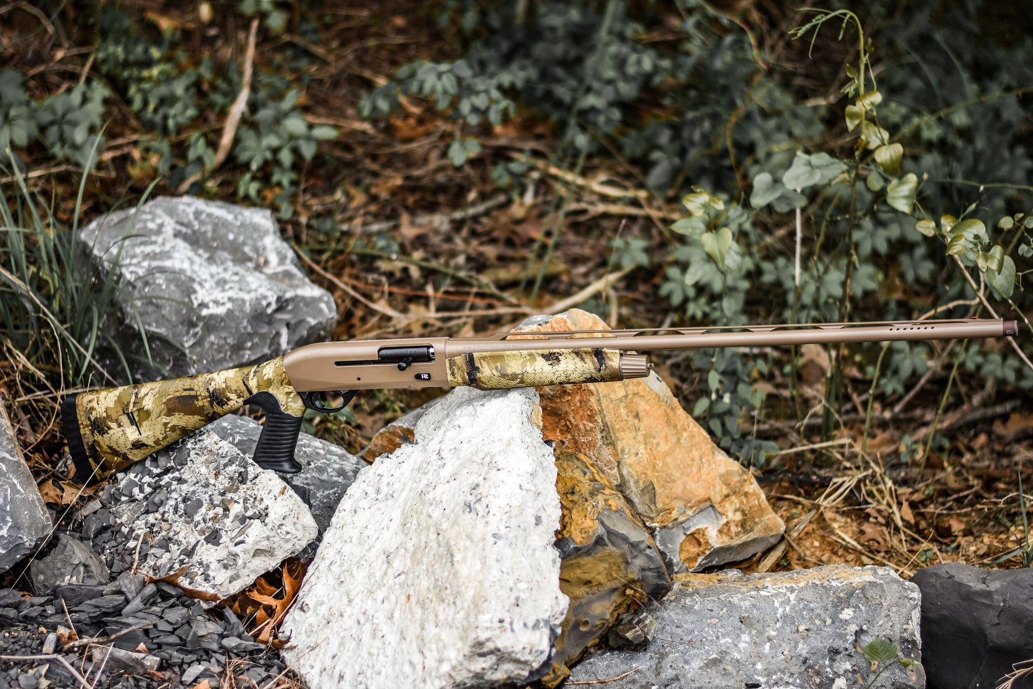 Sitka Marsh & Coyote