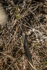 DSC_2274.jpg