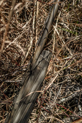 DSC_2275.jpg