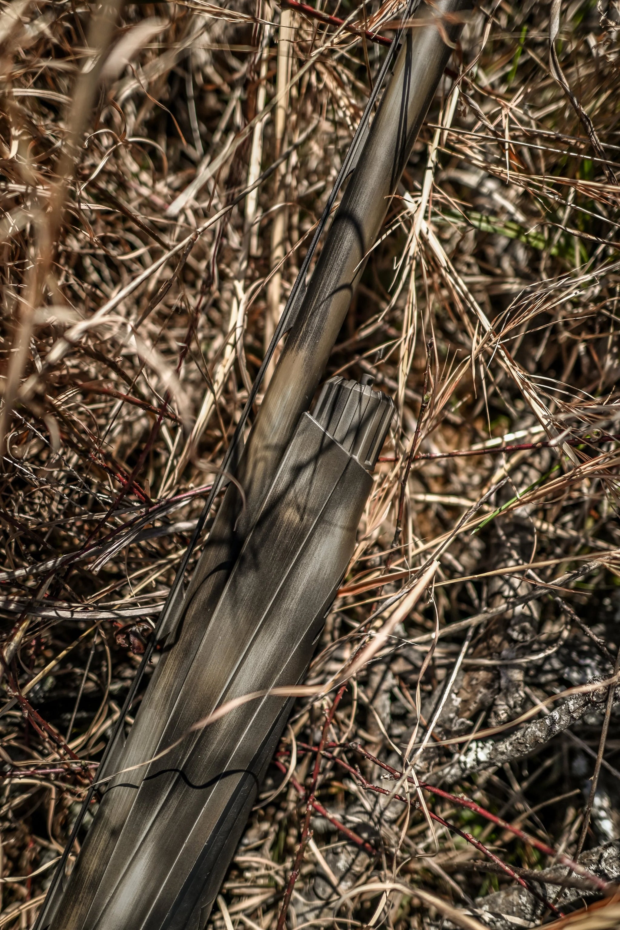 DSC_2275.jpg
