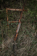 DSC_2286.jpg