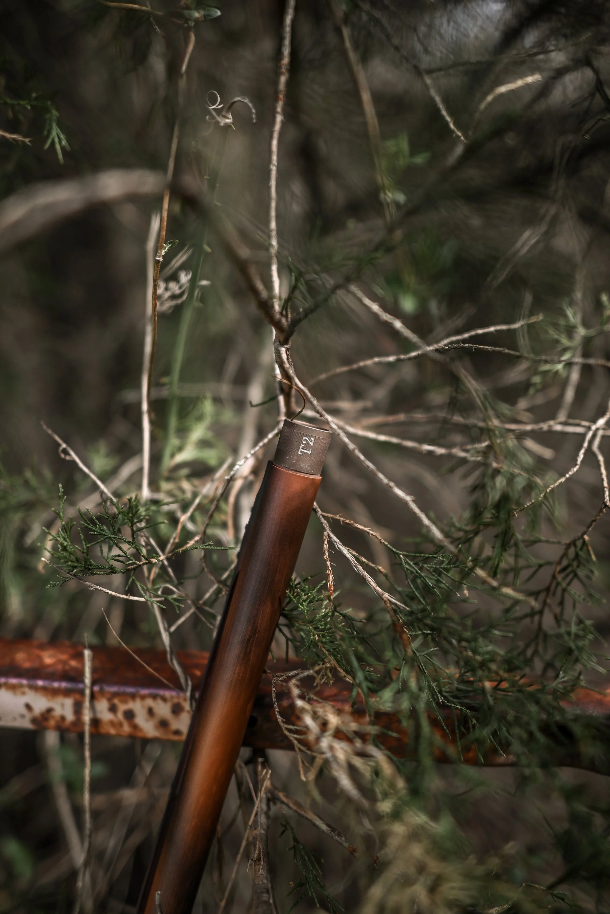 DSC_2290.jpg
