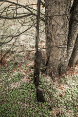 DSC_2317.jpg