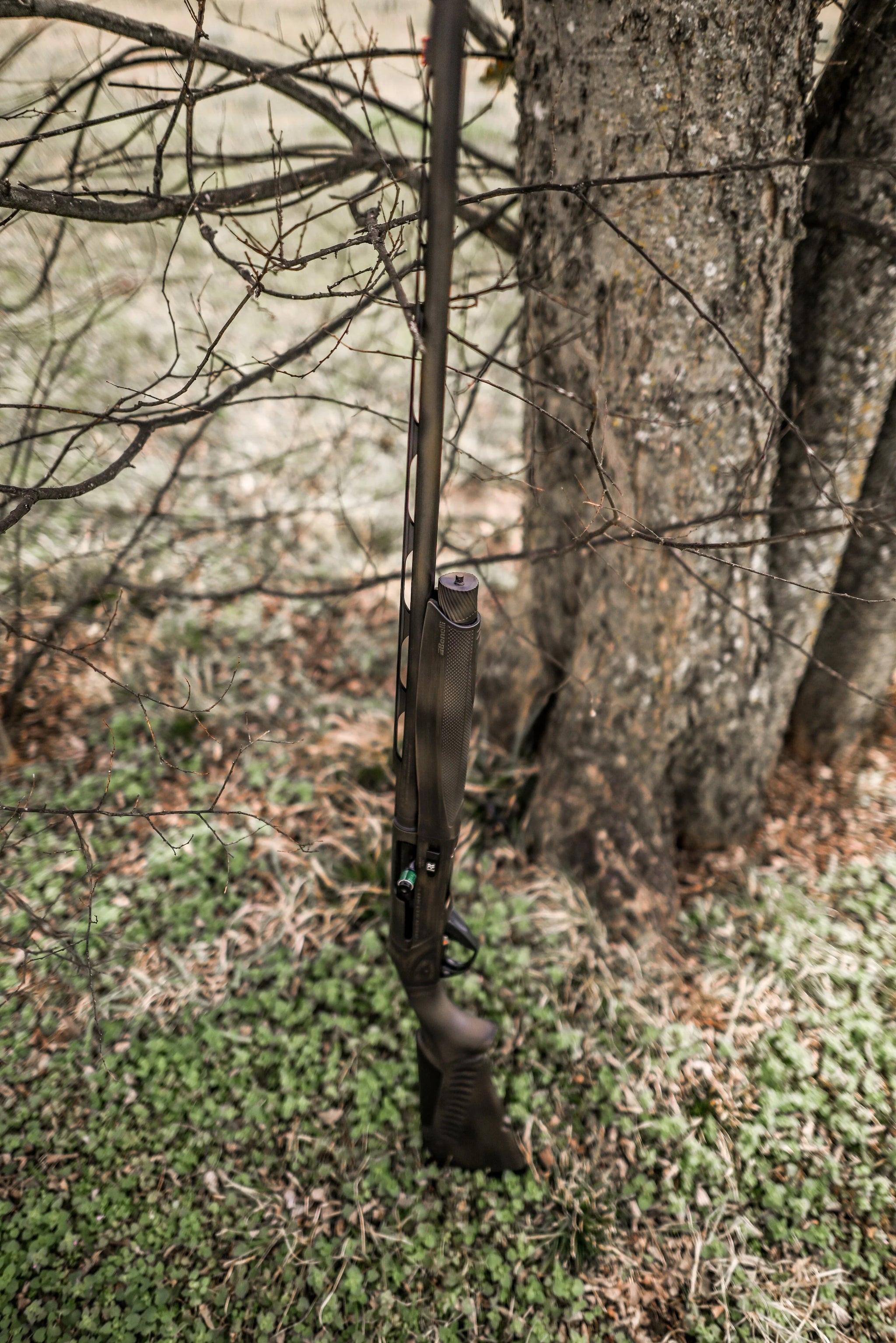 DSC_2317.jpg