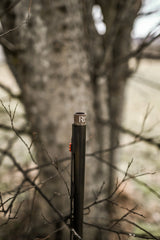 DSC_2318.jpg