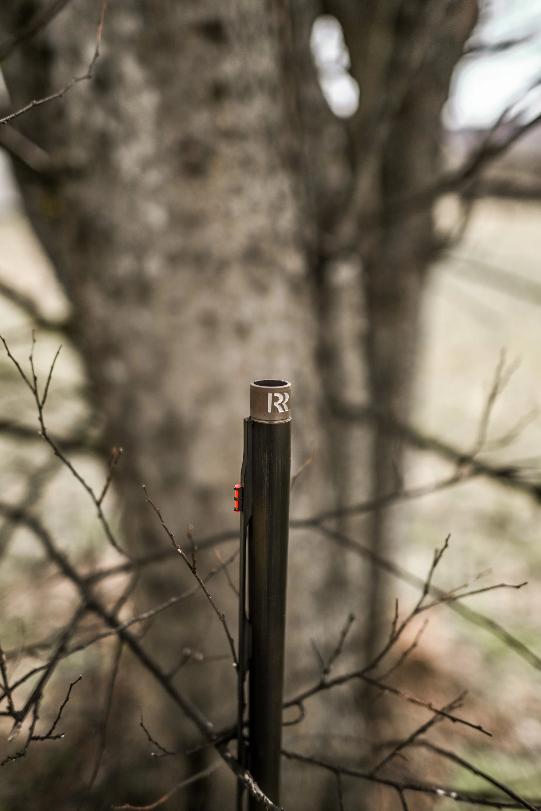 DSC_2318.jpg