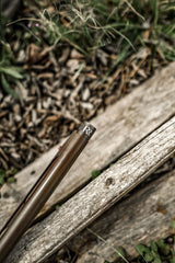 DSC_2496.jpg