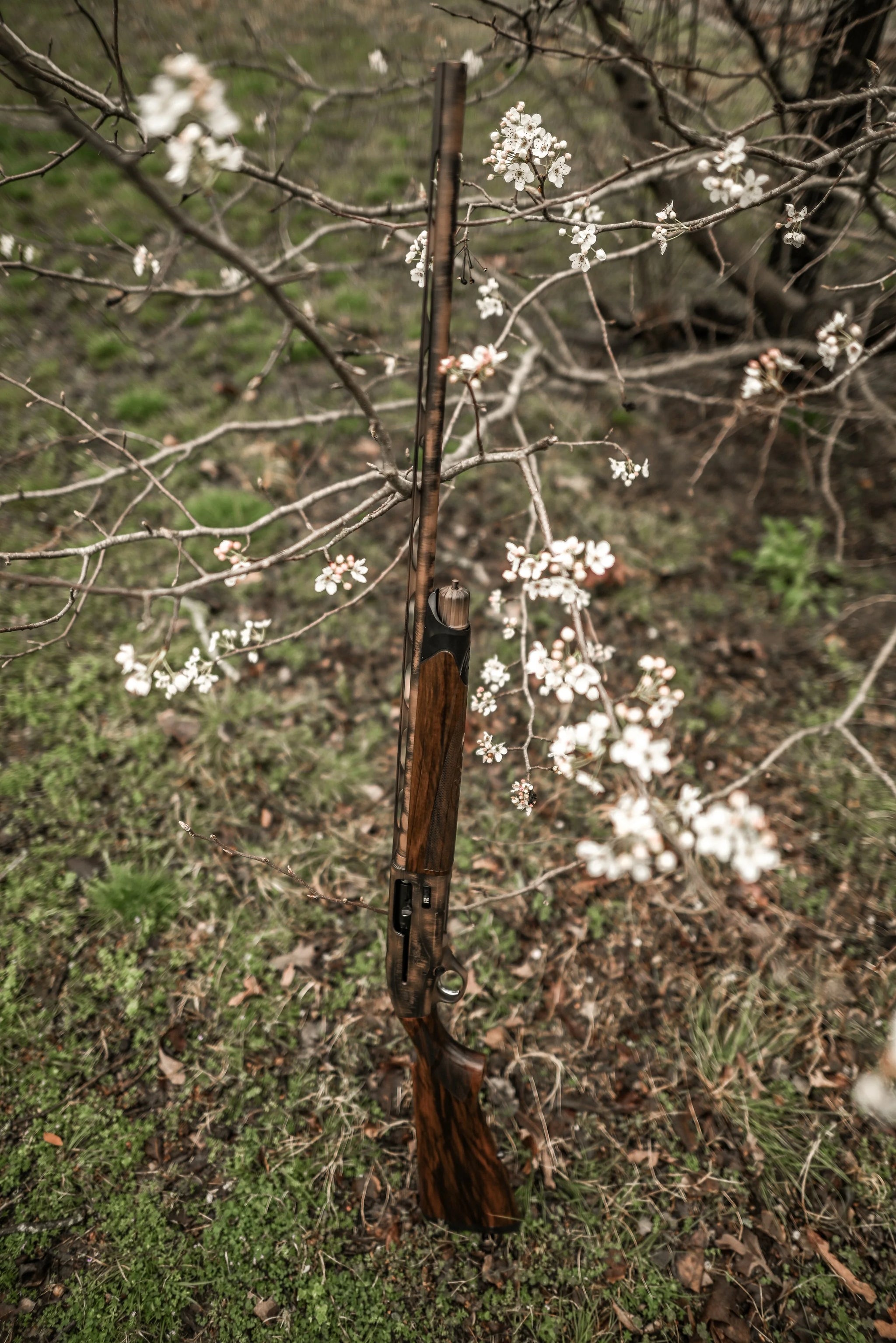 DSC_2535.jpg