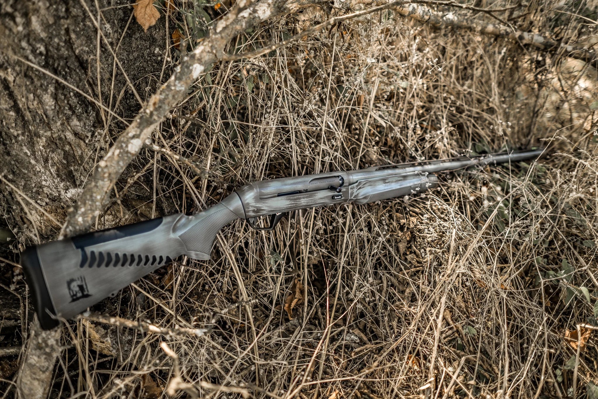 DSC_2838.jpg