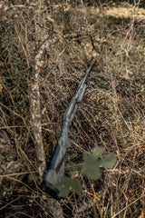 DSC_2845.jpg