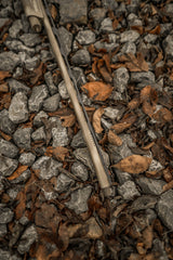 DSC_2864.jpg