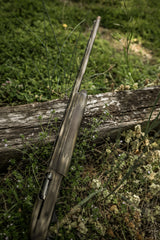 DSC_4026.jpg