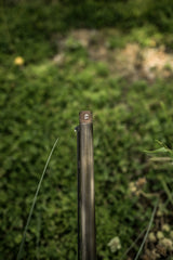 DSC_4029.jpg