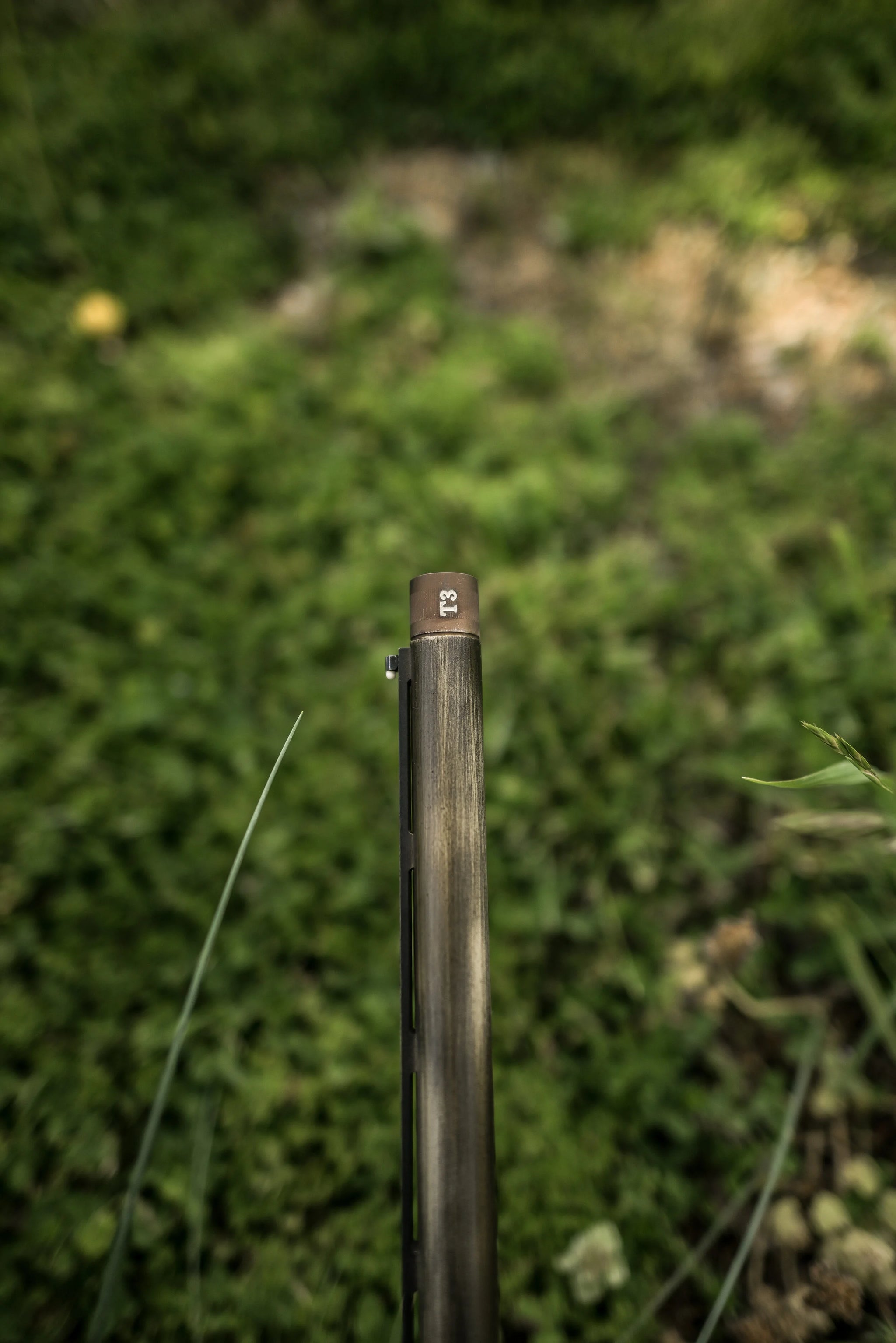 DSC_4029.jpg
