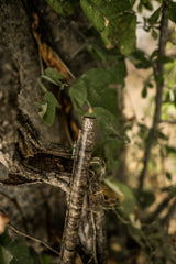 DSC_4072.jpg