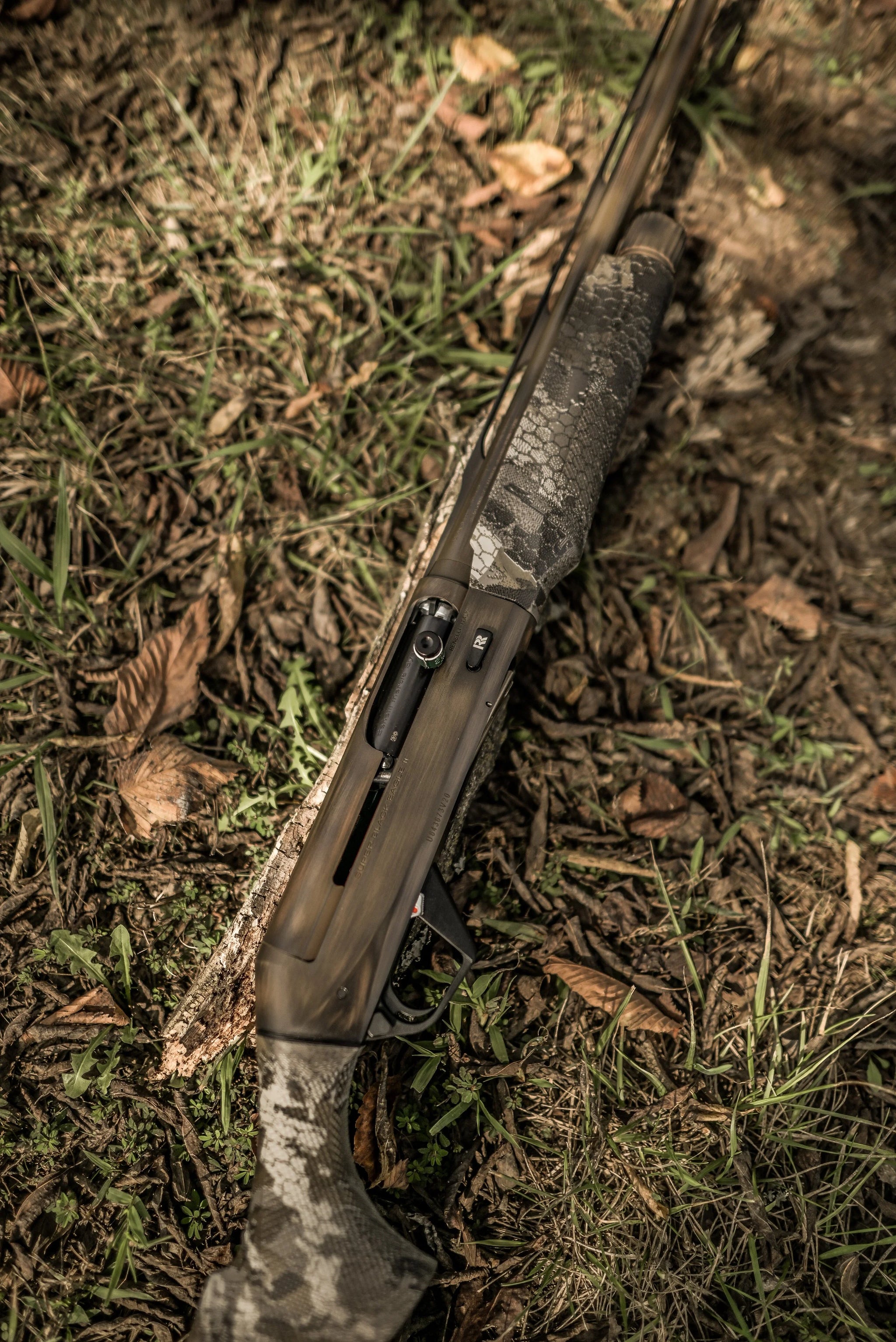 DSC_4193.jpg