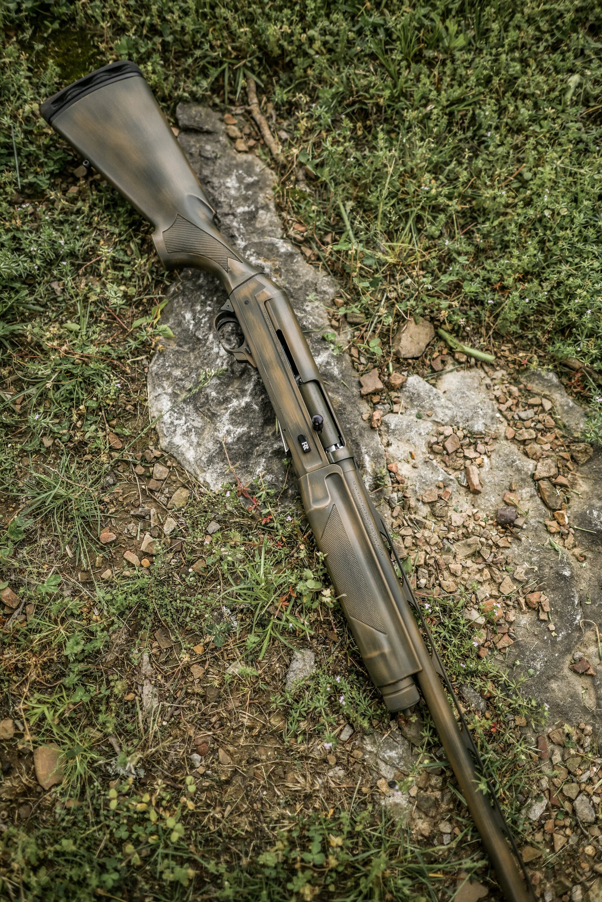 DSC_4286.jpg