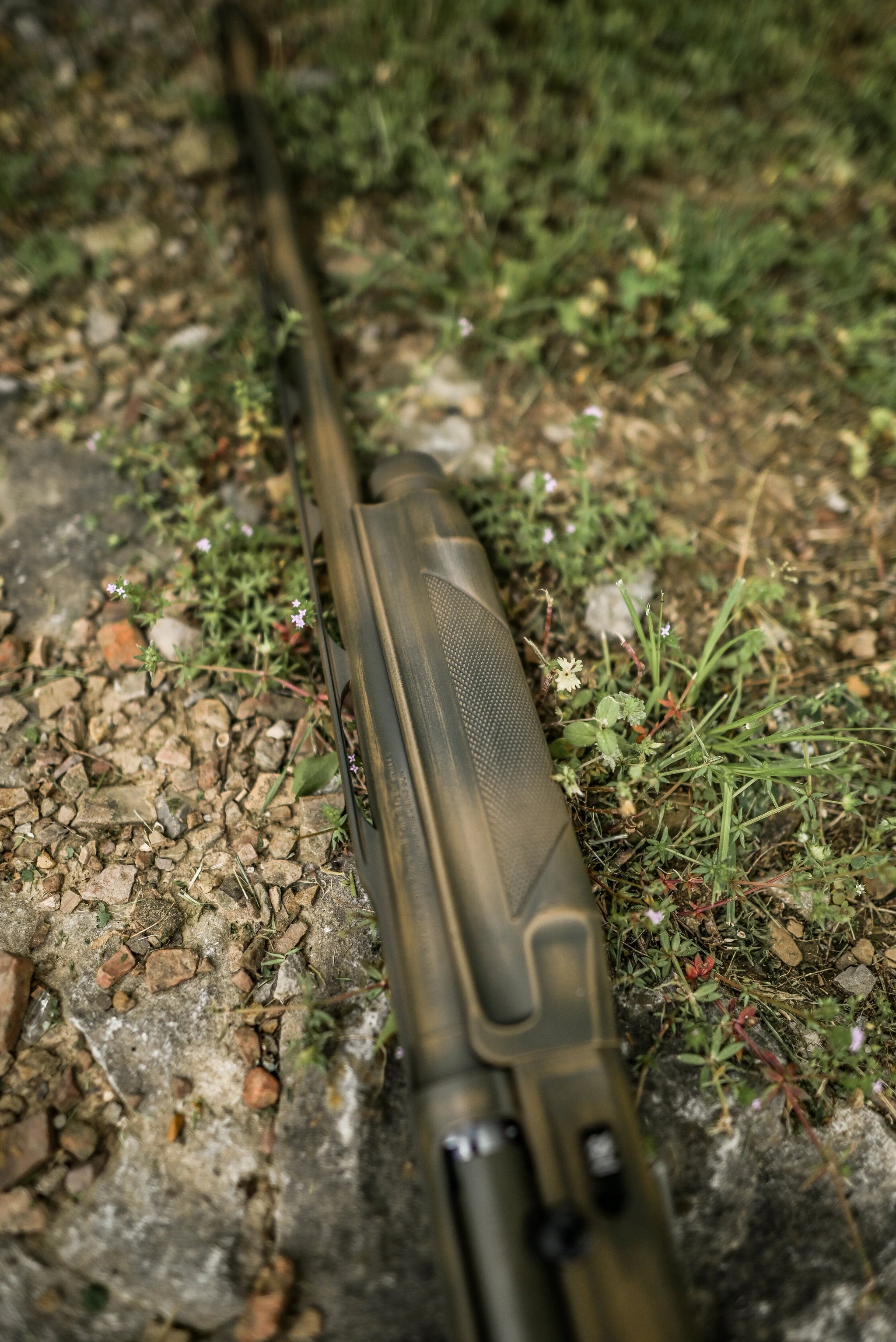 DSC_4287.jpg