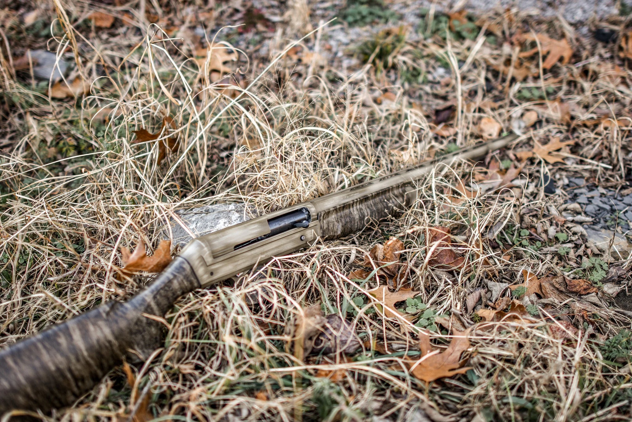 DSC_4457.jpg