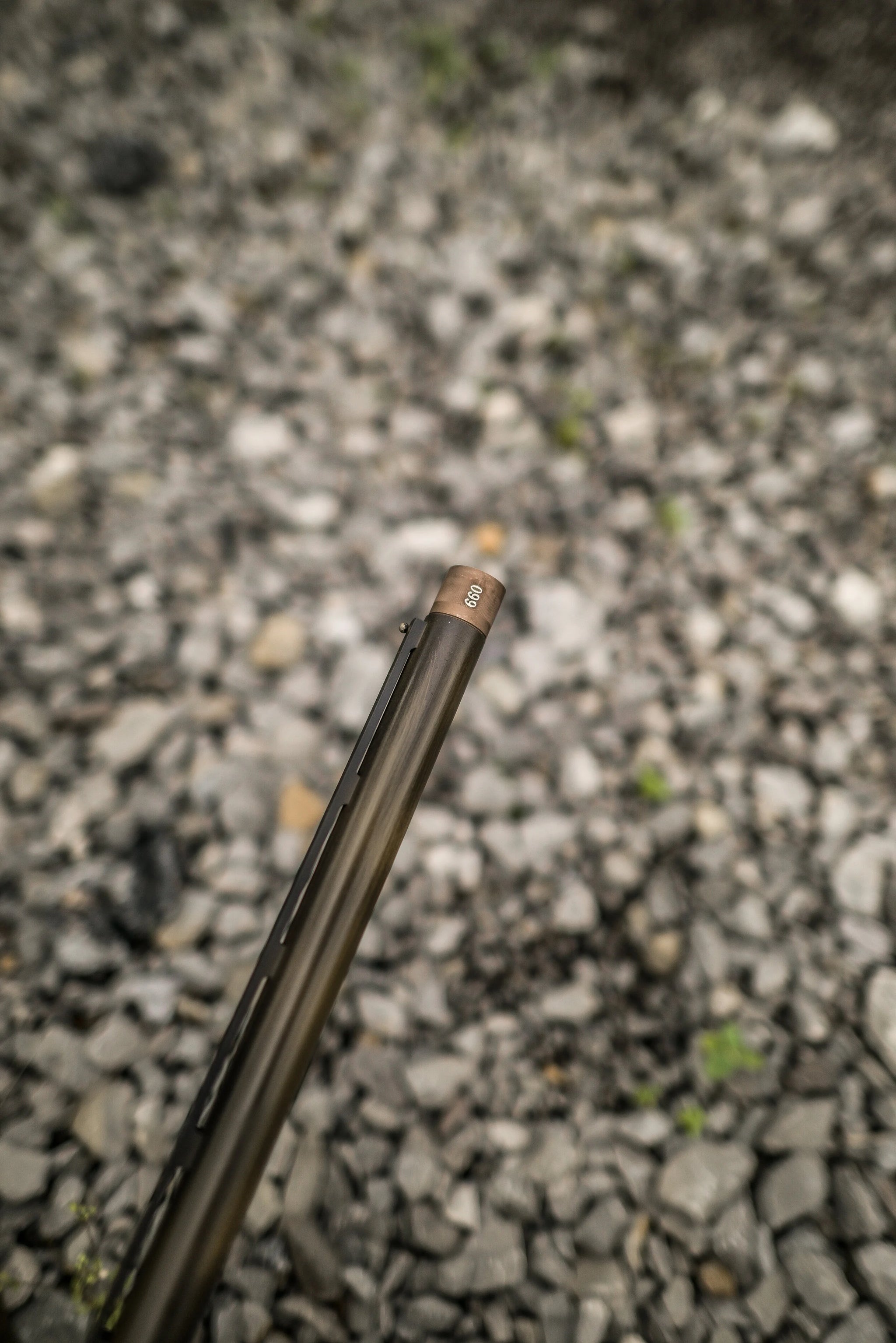 DSC_5401.jpg