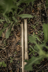DSC_5827.jpg