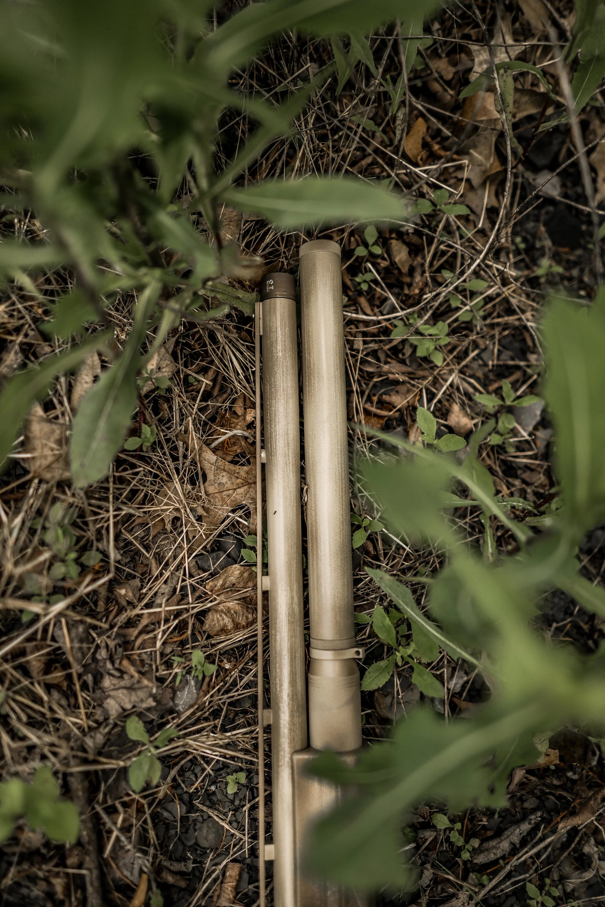 DSC_5827.jpg