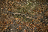 DSC_7164.jpg