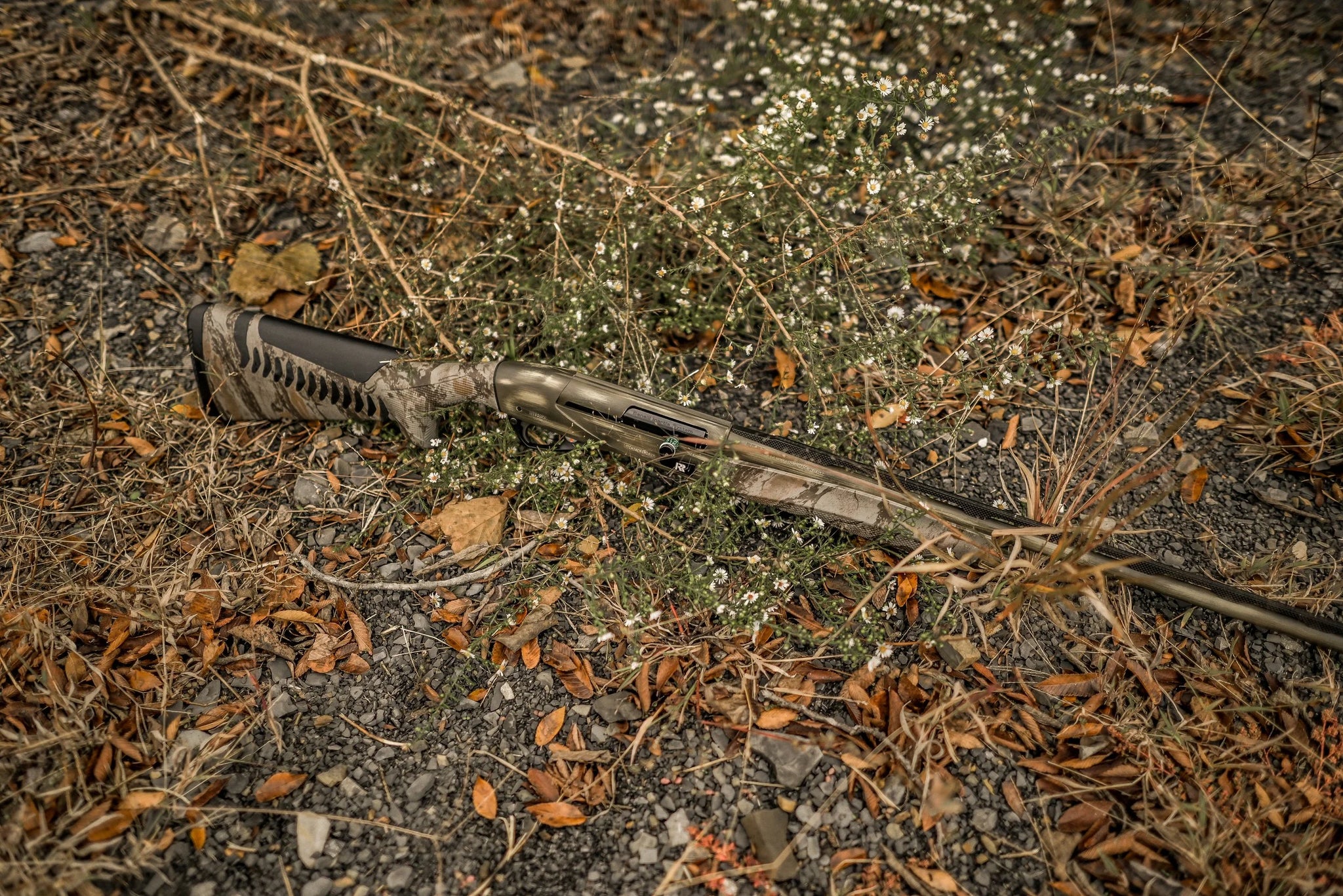 DSC_7164.jpg