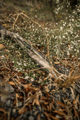 DSC_7167.jpg