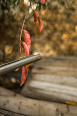DSC_7484.jpg