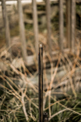 DSC_7867.jpg