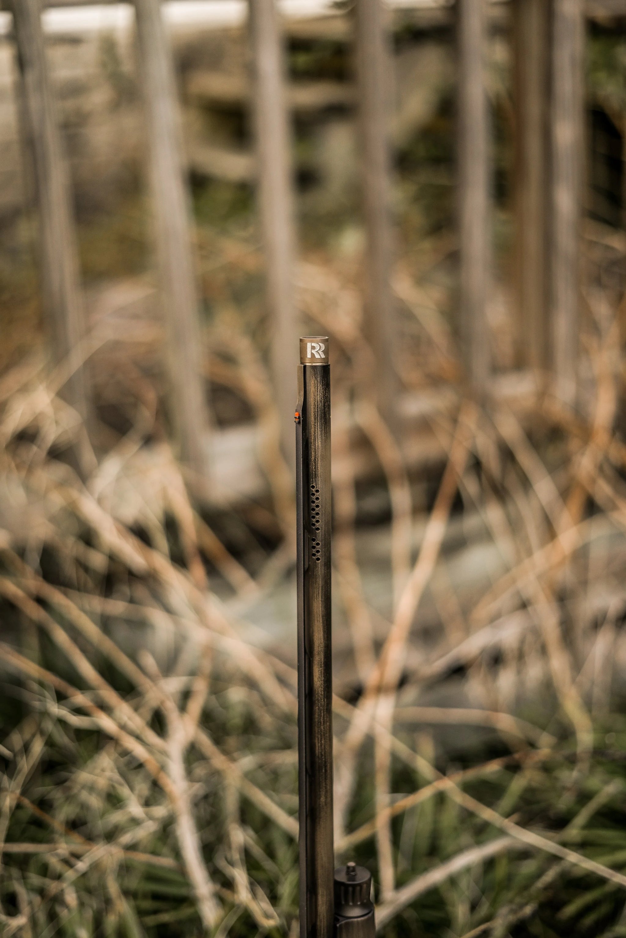 DSC_7867.jpg