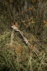 DSC_8384.jpg