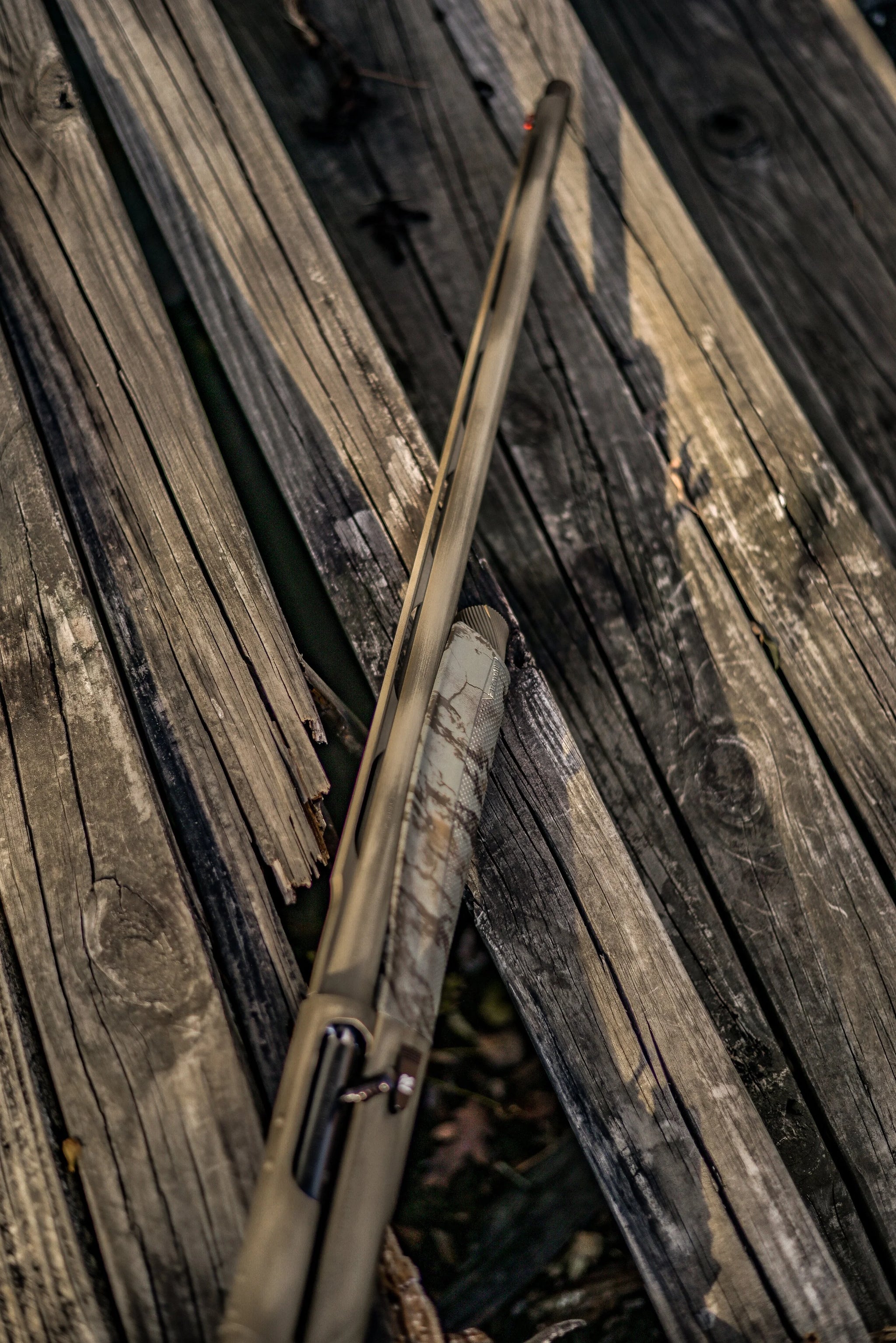 DSC_8506.jpg