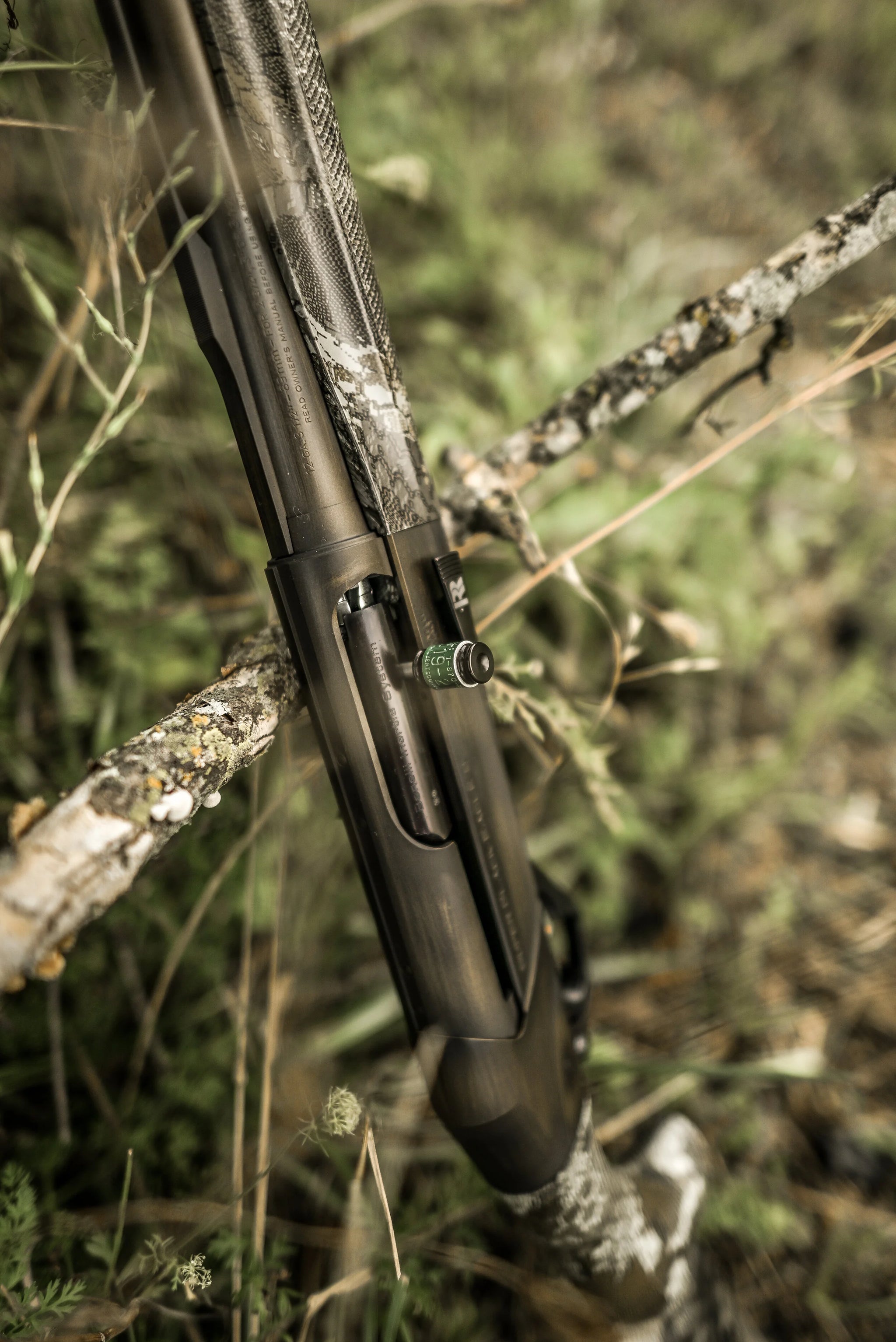DSC_9069.jpg