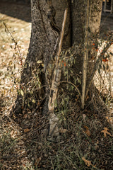 DSC_9245.jpg