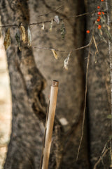 DSC_9248.jpg