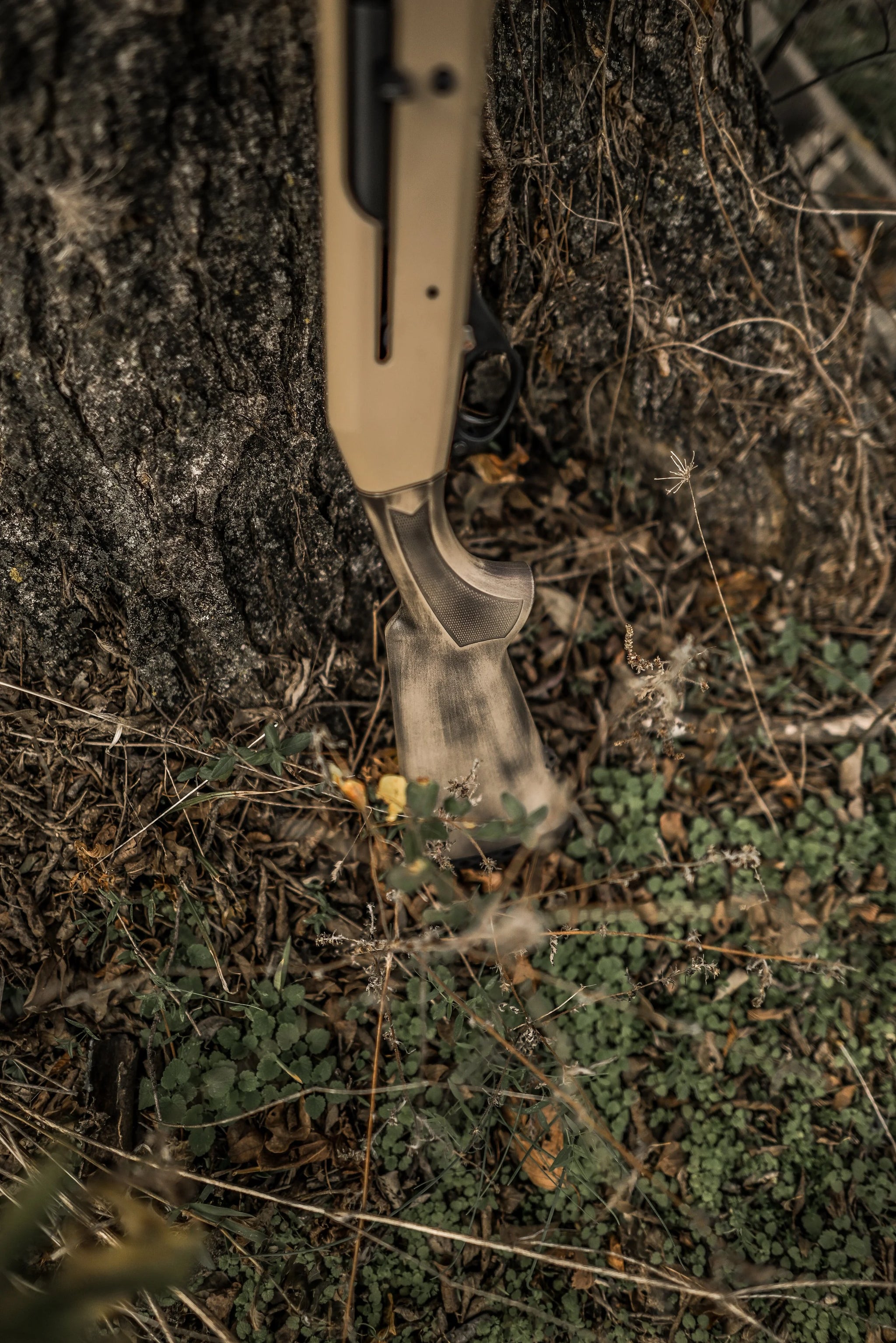 DSC_9267.jpg